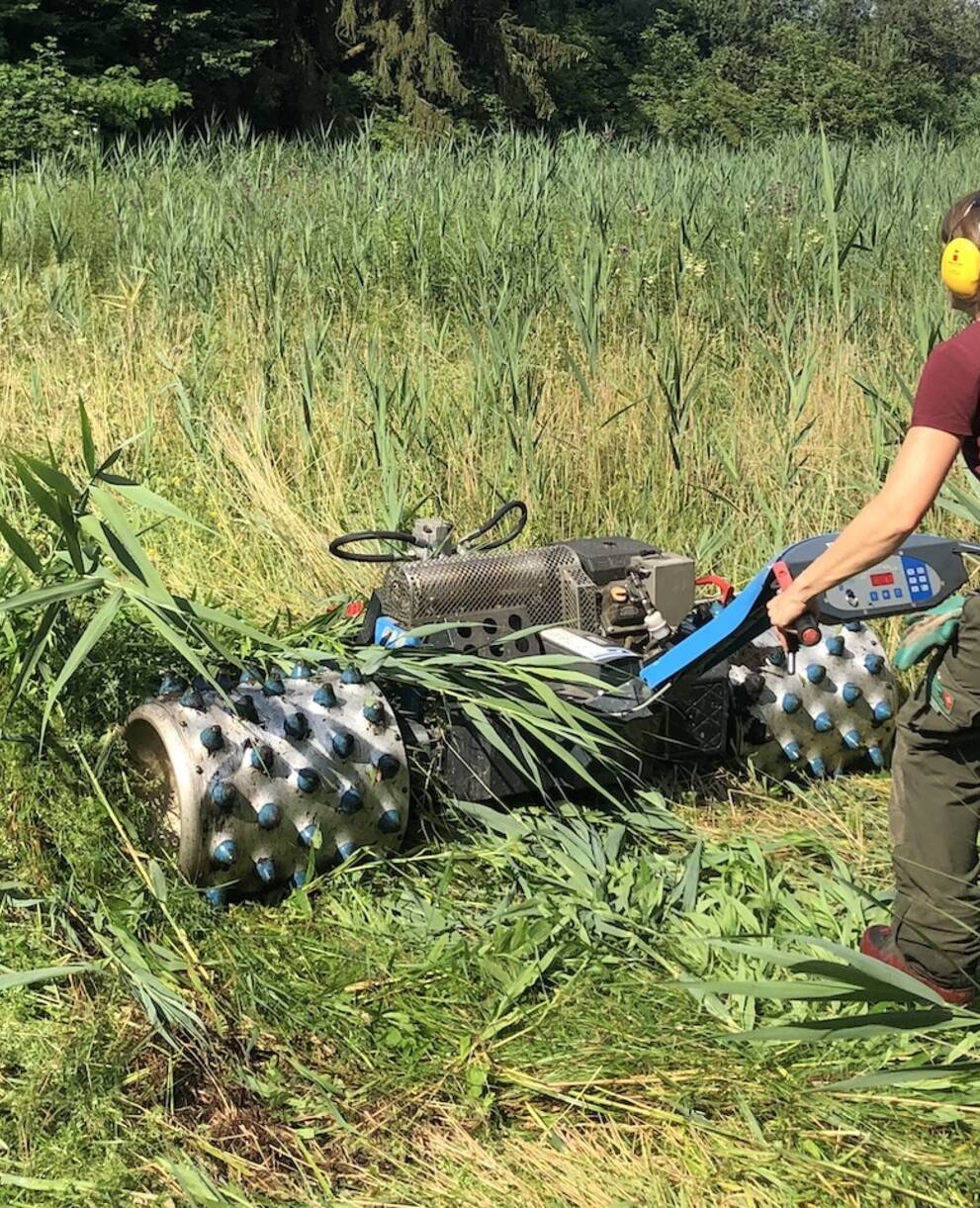 Pflege wertvoller Naturschutzgebiete. Foto: Pro Natura Luzern