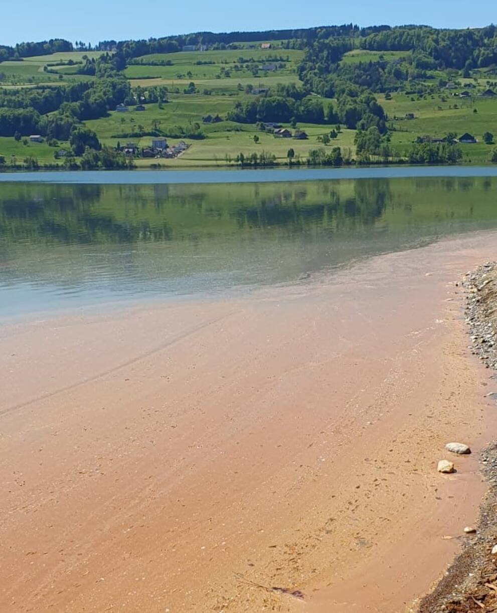 Baldeggersee mit Algen. Foto: zvg