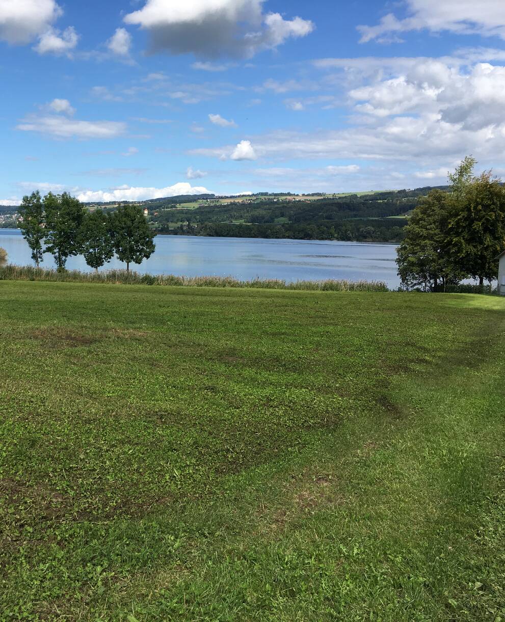 Gülle auf einer Wiese am Baldeggersee