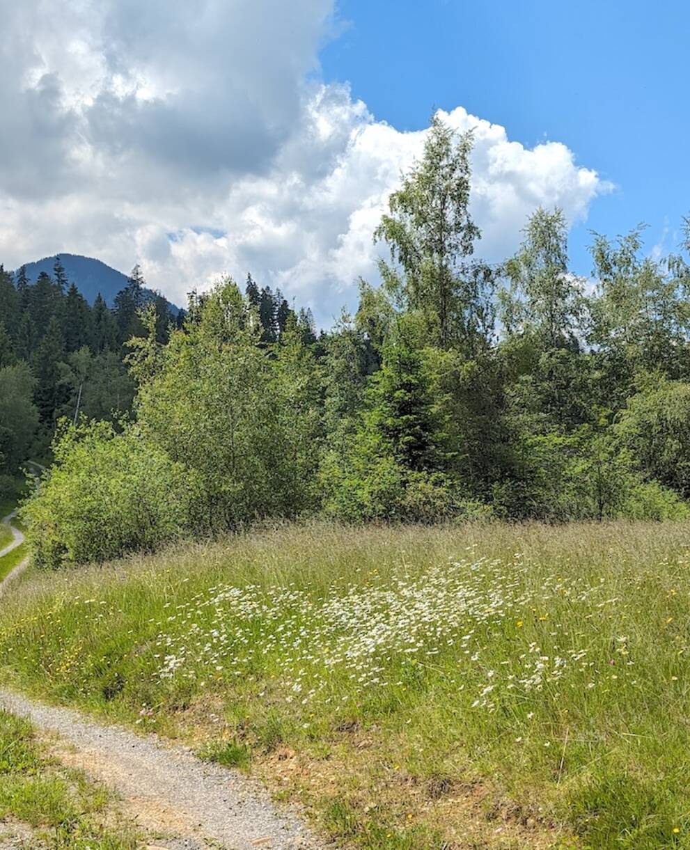 Balmoos. Foto: Pro Natura Luzern