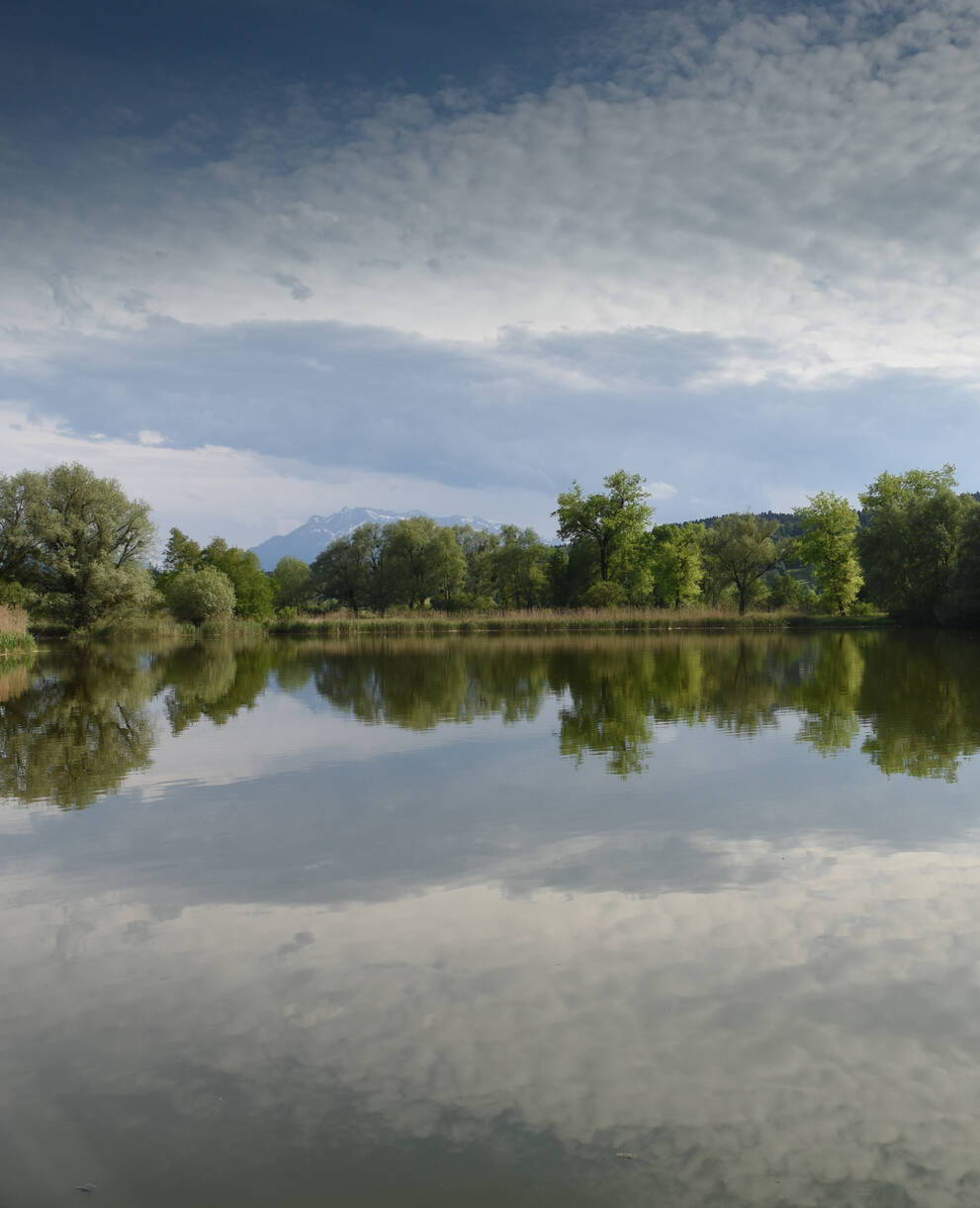 Baldeggersee Südende