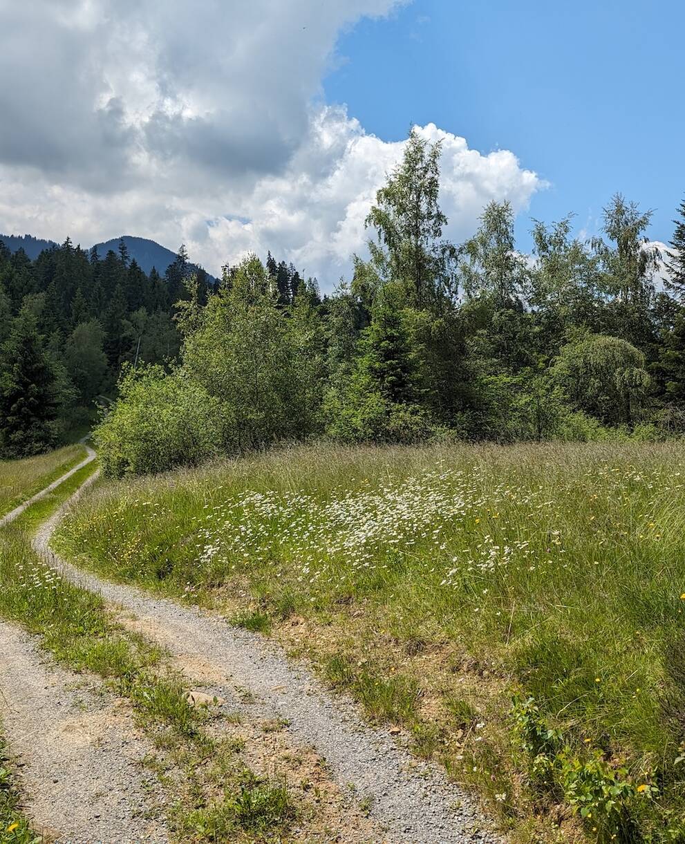 Fahr- und Wanderweg im Balmoos, Hasle. Foto: Pro Natura Luzern