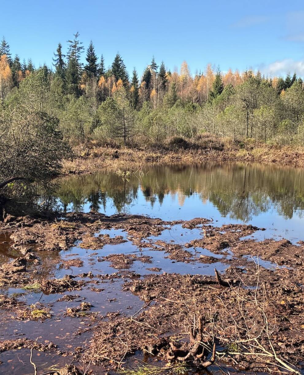 Balmoos, Hasle LU, November 2025. Foto: Pro Natura