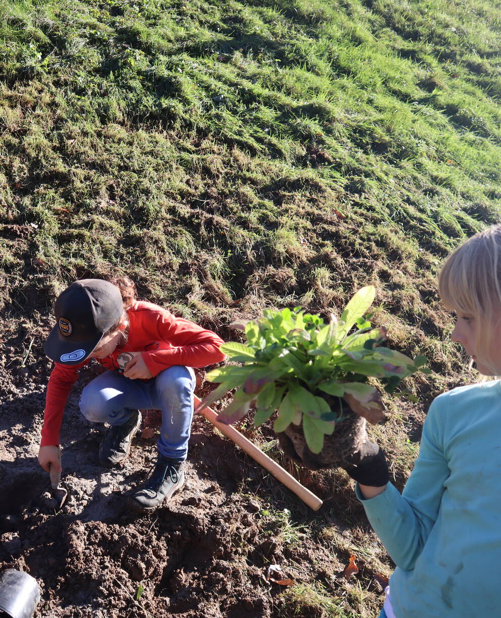Grüner Daumen im Einsatz