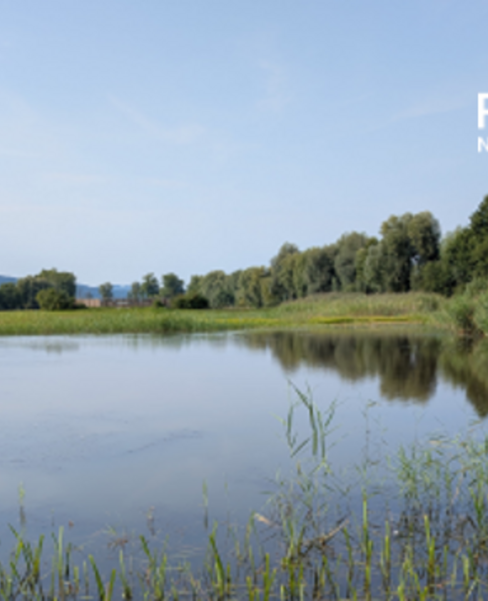 Ronfeld Flutmulden. Foto: Samuel Ehrenbold