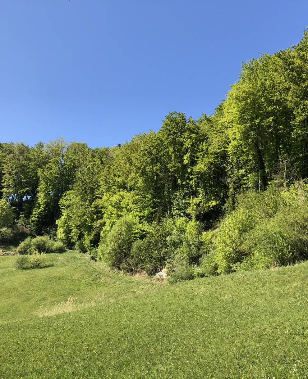 Schutzgebiet Gitzitobel