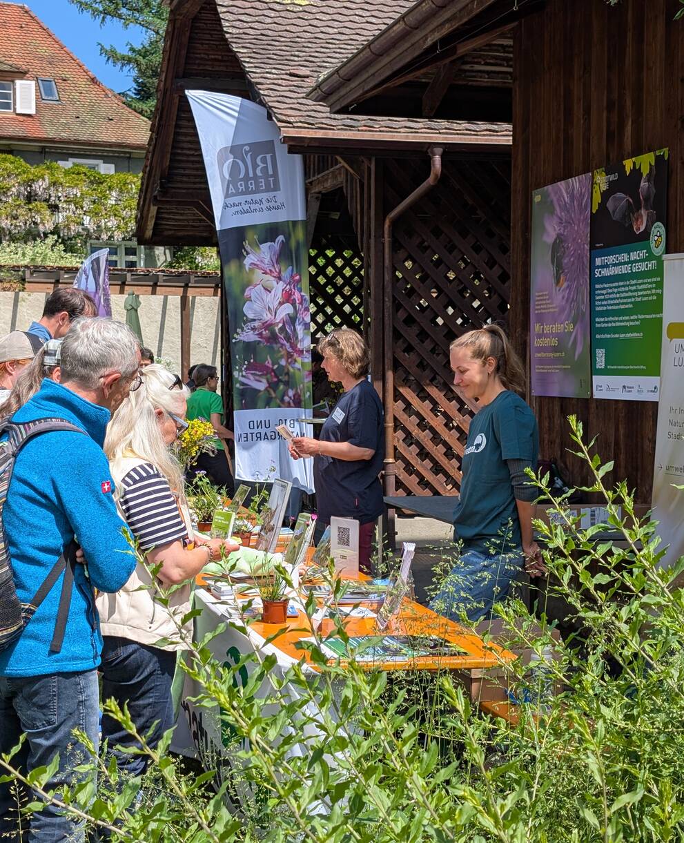 Marktstand an der Pflanzentauschbörse