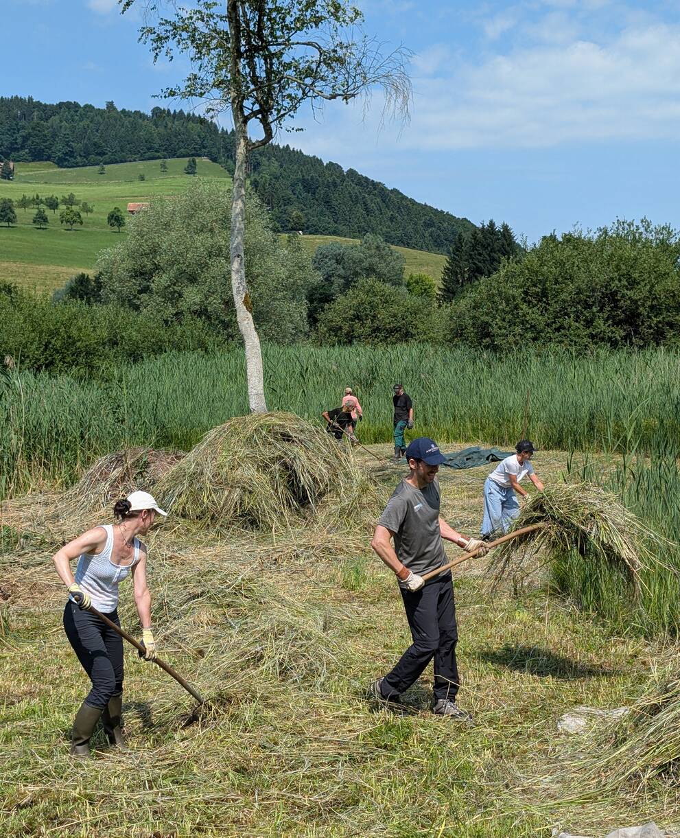 Arbeitseinsatz im Moosried