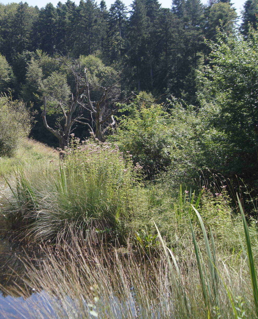 Naturjuwel Sagerhüsli