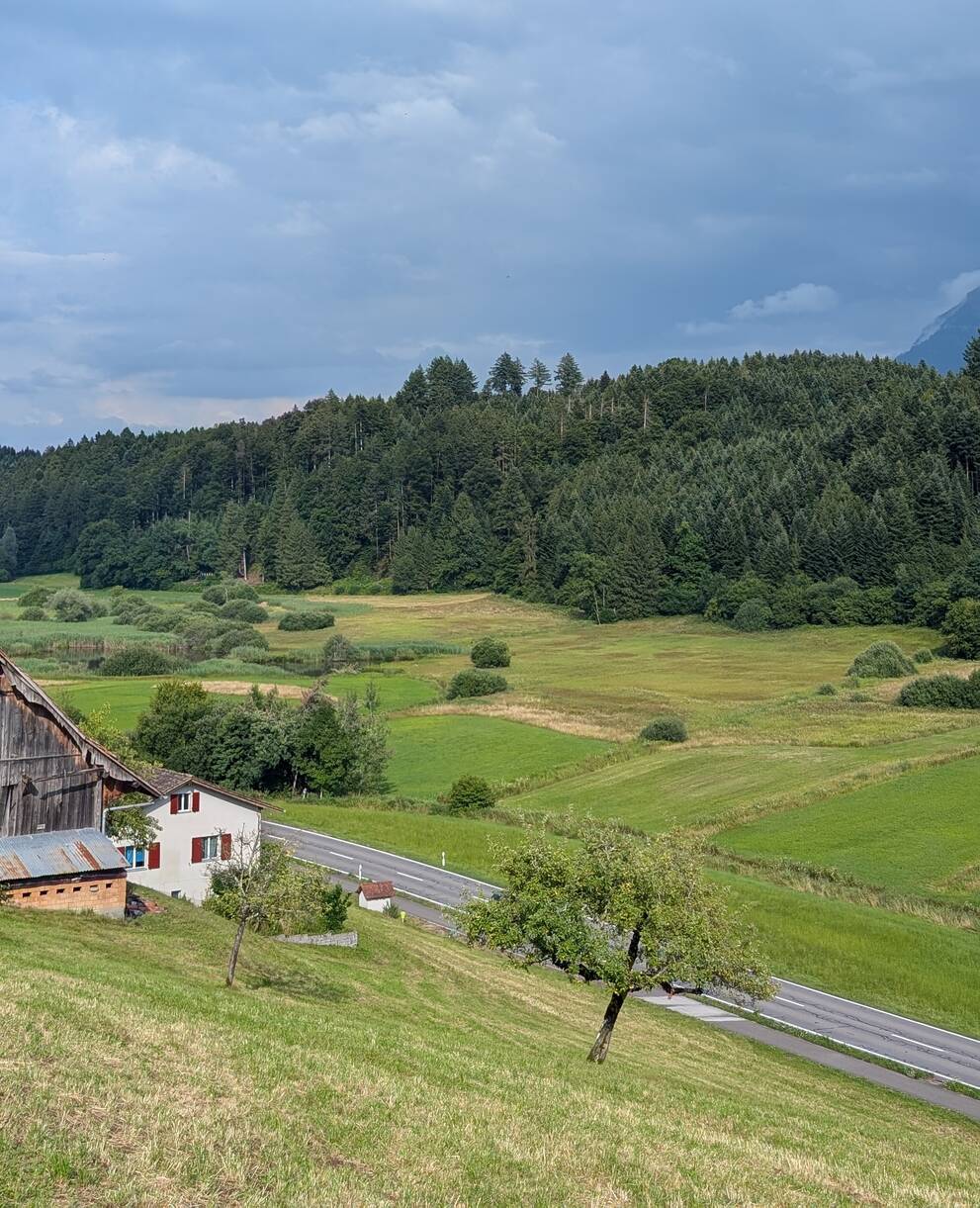 Landschaft bei Luzern. Foto: Samuel Ehrenbold
