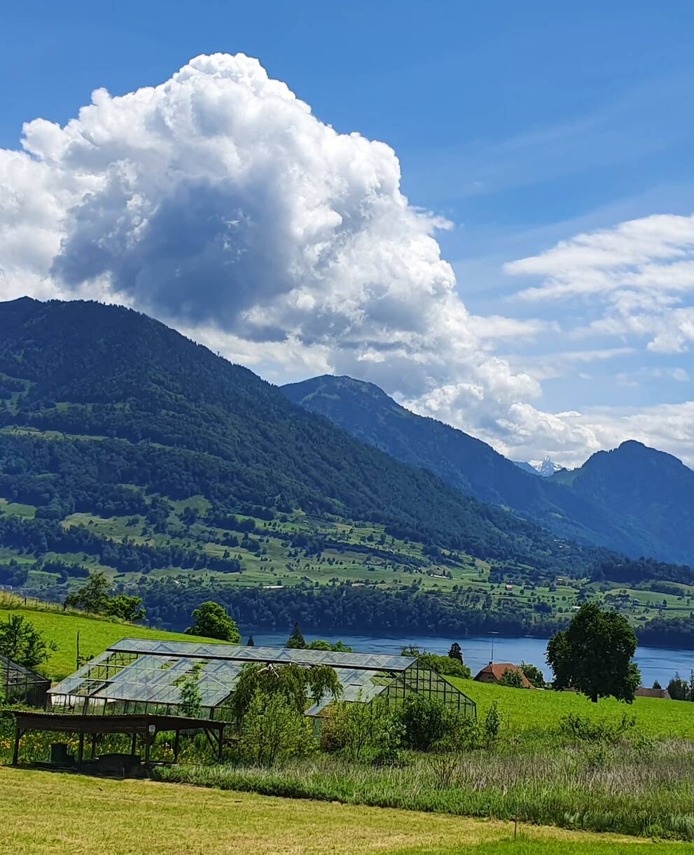 Vierwaldstättersee
