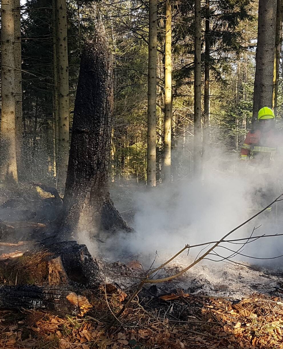 Waldbrand. Quelle: Feuerwehr Meggen