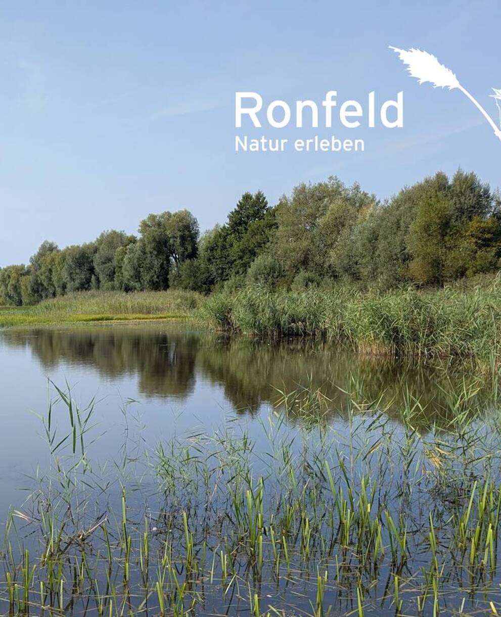 Blick übers Ronfeld