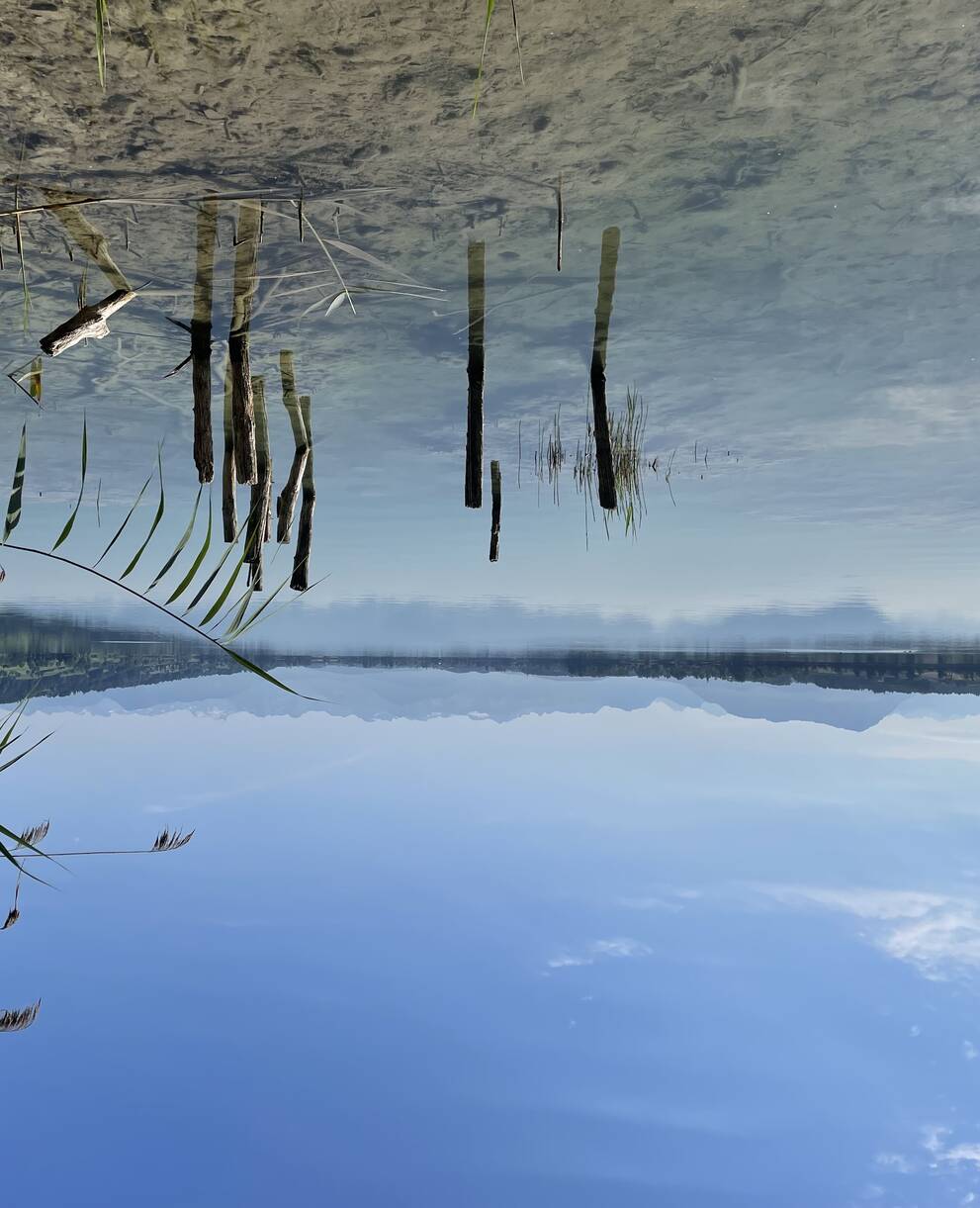 Baldeggersee mit tiefem Pegelstand