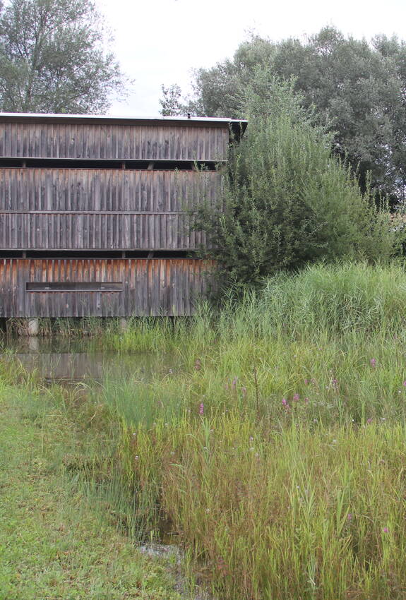 Beobachtungshütte im Ronfeld