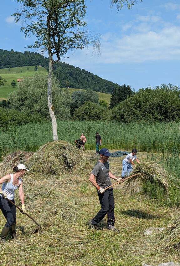 Arbeitseinsatz im Moosried