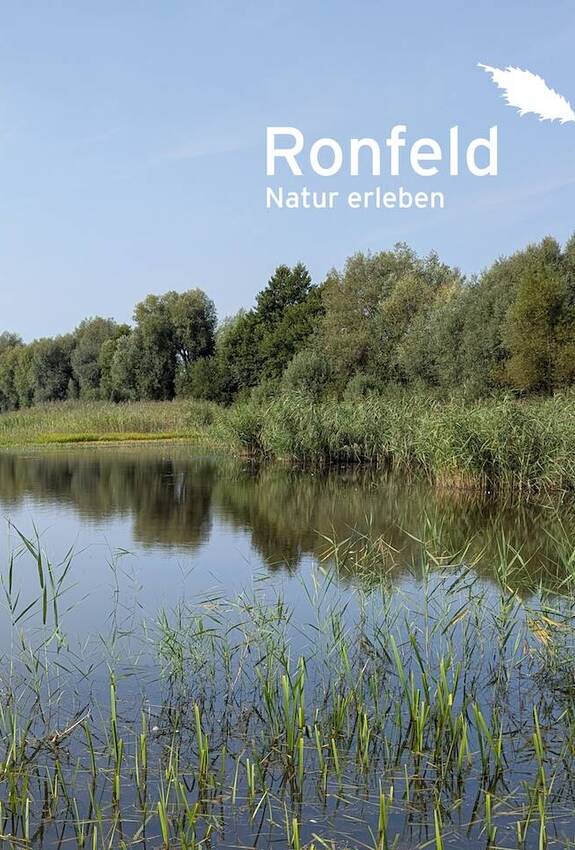 Blick übers Ronfeld