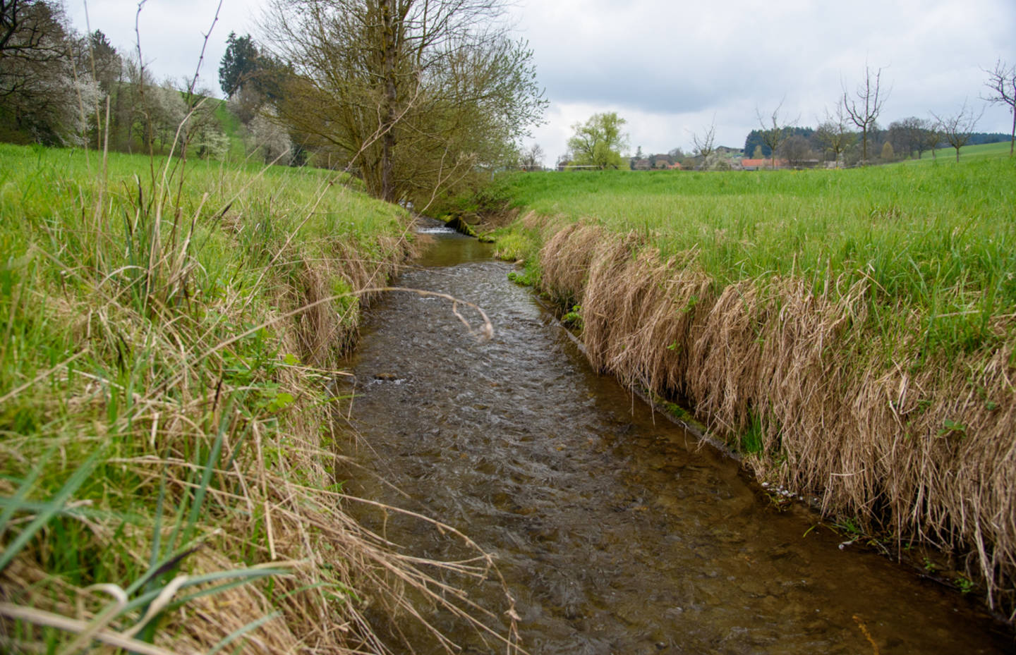 Begradigter Bach