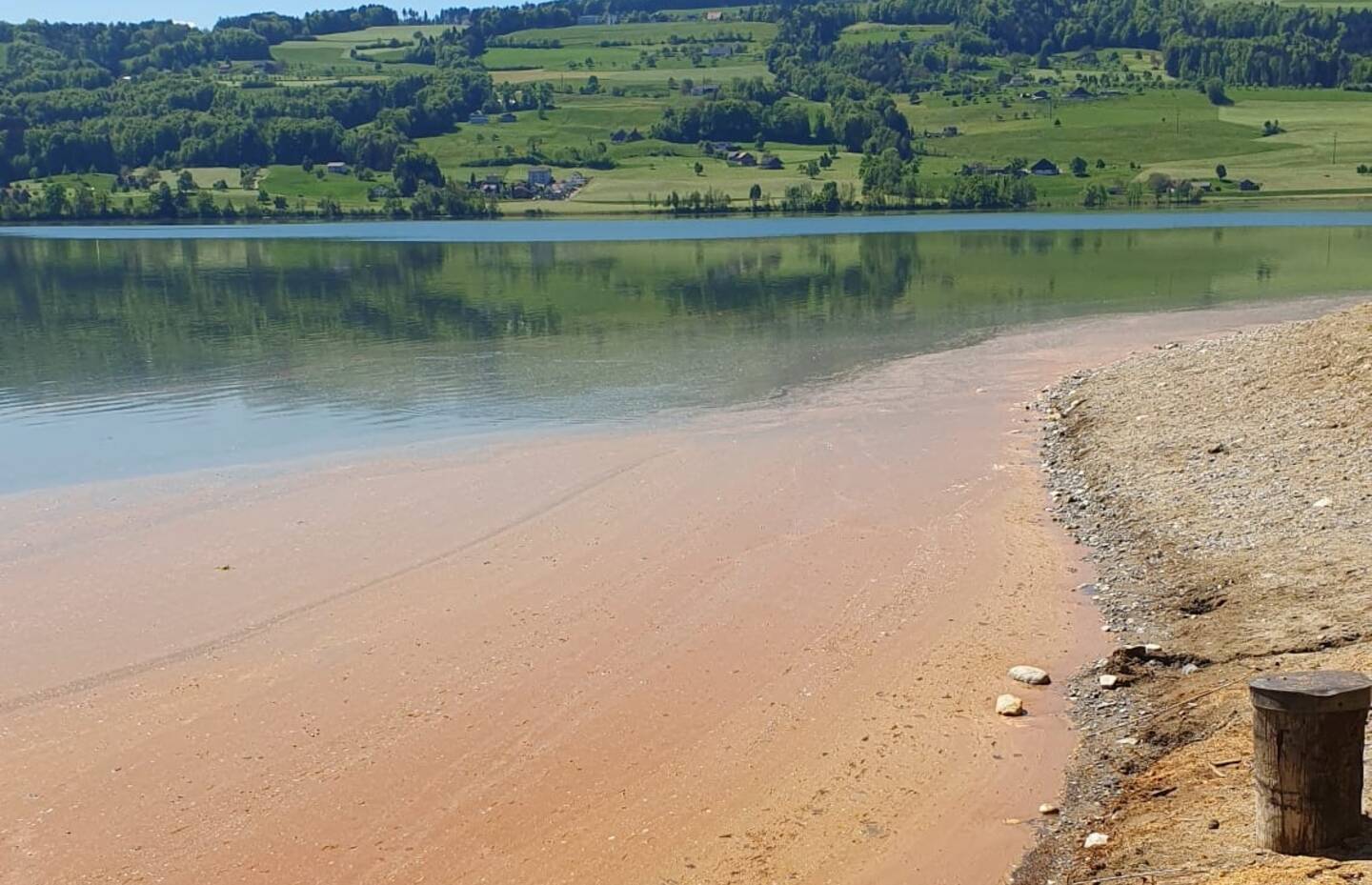 Algenblüte am Baldeggersee