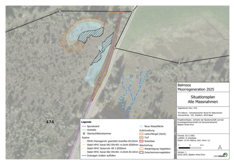 Situationsplan Hochmoor-Regeneration Balmoos 2025