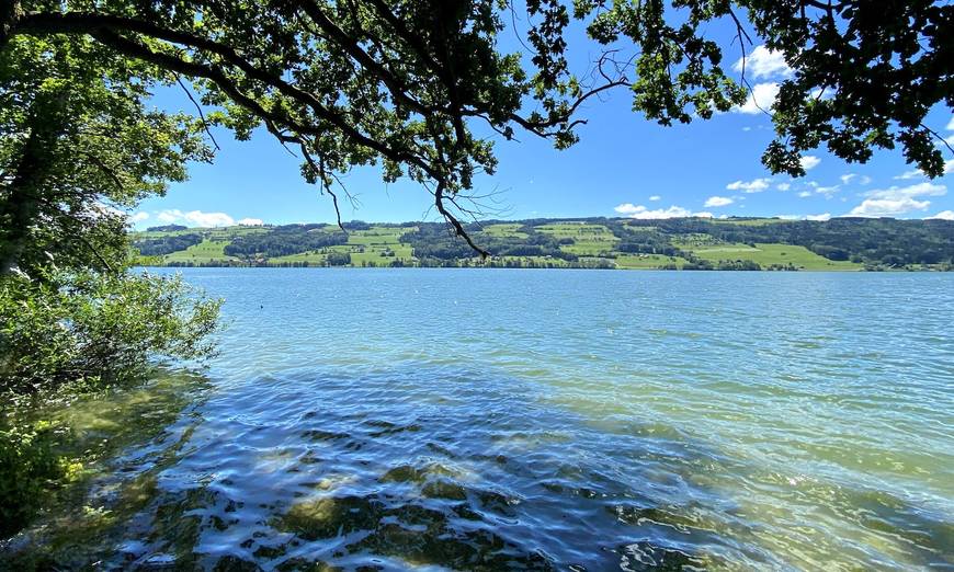 Baldeggersee. Foto: Peter Wyss