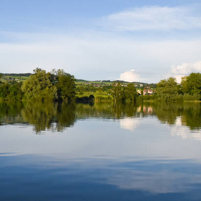 Baldeggersee