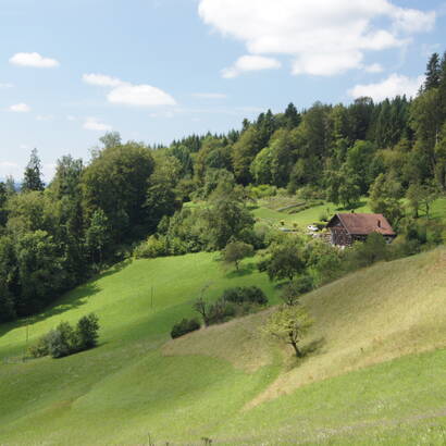 Sagerhüsli ob Dagmersellen